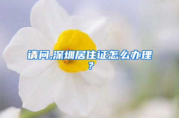 请问,深圳居住证怎么办理？