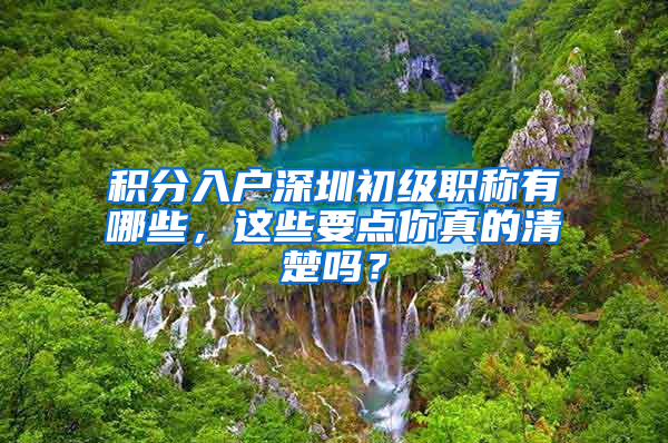 积分入户深圳初级职称有哪些，这些要点你真的清楚吗？