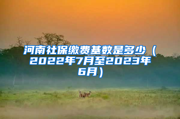 河南社保缴费基数是多少（2022年7月至2023年6月）