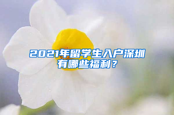 2021年留学生入户深圳有哪些福利？