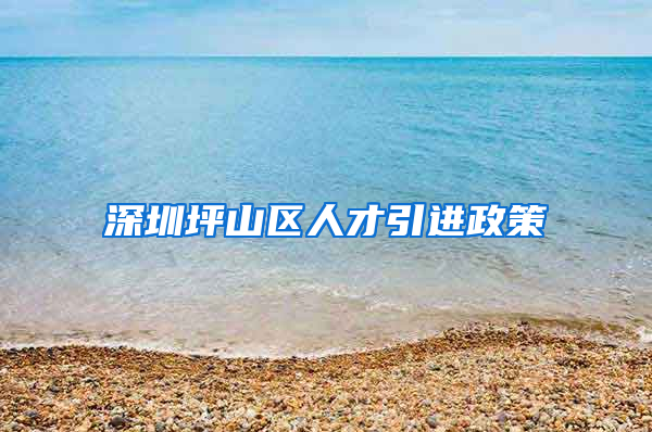 深圳坪山区人才引进政策