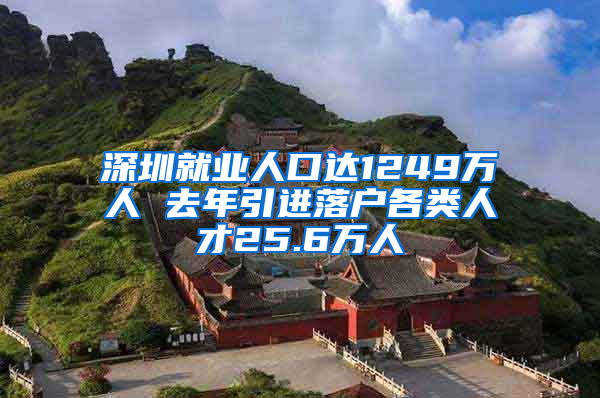 深圳就业人口达1249万人 去年引进落户各类人才25.6万人