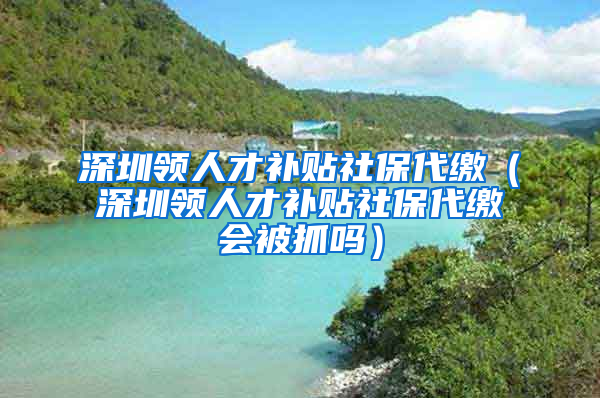 深圳领人才补贴社保代缴（深圳领人才补贴社保代缴会被抓吗）