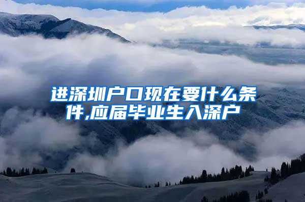 进深圳户口现在要什么条件,应届毕业生入深户