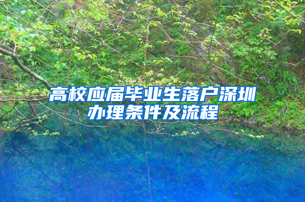 高校应届毕业生落户深圳办理条件及流程