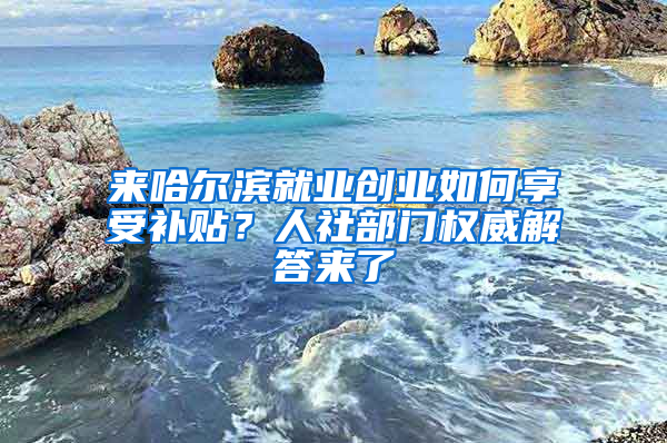 来哈尔滨就业创业如何享受补贴？人社部门权威解答来了