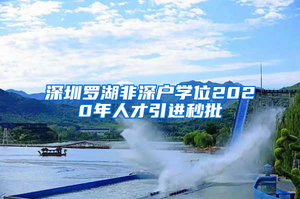 深圳罗湖非深户学位2020年人才引进秒批