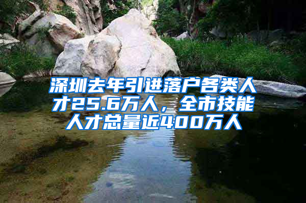 深圳去年引进落户各类人才25.6万人，全市技能人才总量近400万人