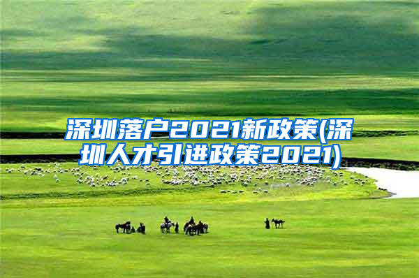 深圳落户2021新政策(深圳人才引进政策2021)