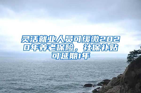 灵活就业人员可缓缴2020年养老保险，社保补贴可延期1年