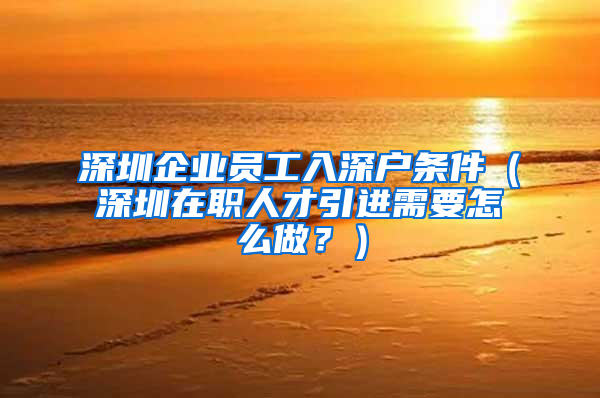 深圳企业员工入深户条件（深圳在职人才引进需要怎么做？）