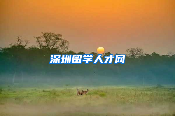 深圳留学人才网