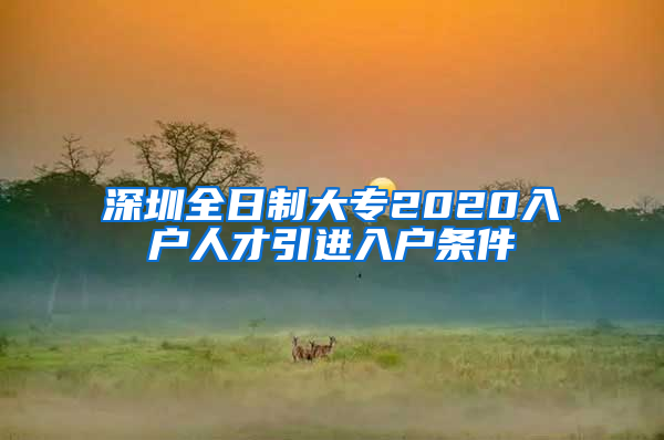 深圳全日制大专2020入户人才引进入户条件