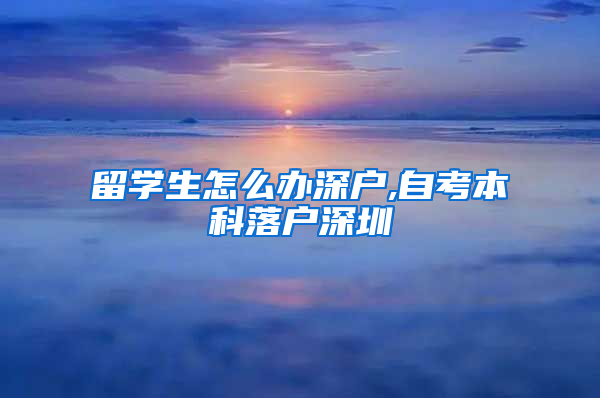 留学生怎么办深户,自考本科落户深圳