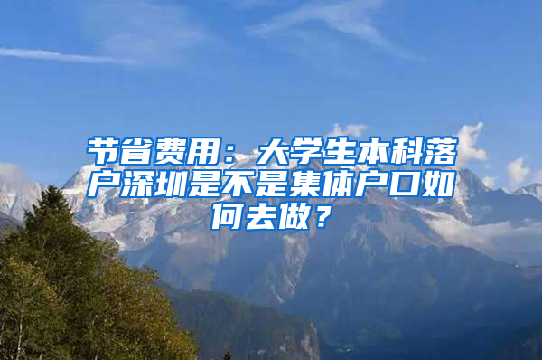 节省费用：大学生本科落户深圳是不是集体户口如何去做？