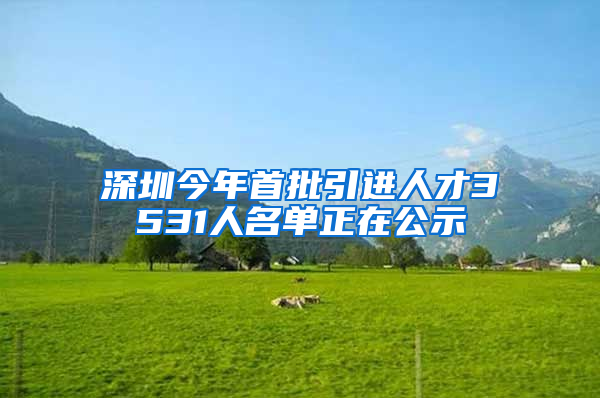 深圳今年首批引进人才3531人名单正在公示