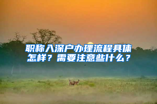 职称入深户办理流程具体怎样？需要注意些什么？