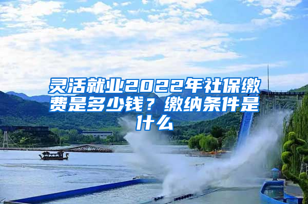 灵活就业2022年社保缴费是多少钱？缴纳条件是什么