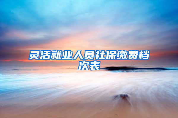 灵活就业人员社保缴费档次表