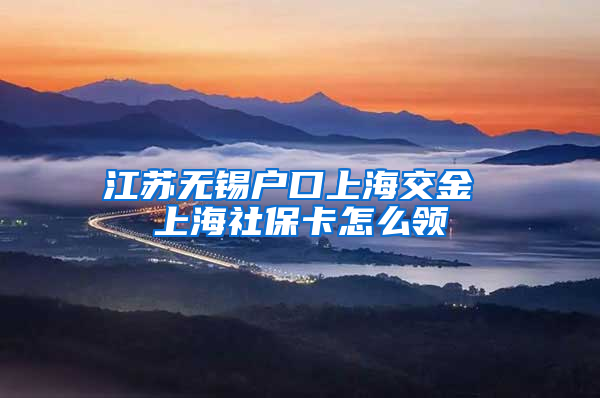 江苏无锡户口上海交金 上海社保卡怎么领