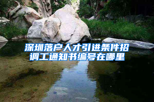 深圳落户人才引进条件招调工通知书编号在哪里