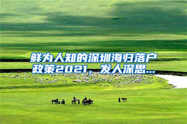 鲜为人知的深圳海归落户政策2021，发人深思...