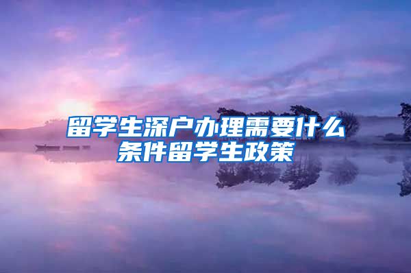 留学生深户办理需要什么条件留学生政策