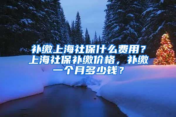 补缴上海社保什么费用？上海社保补缴价格，补缴一个月多少钱？