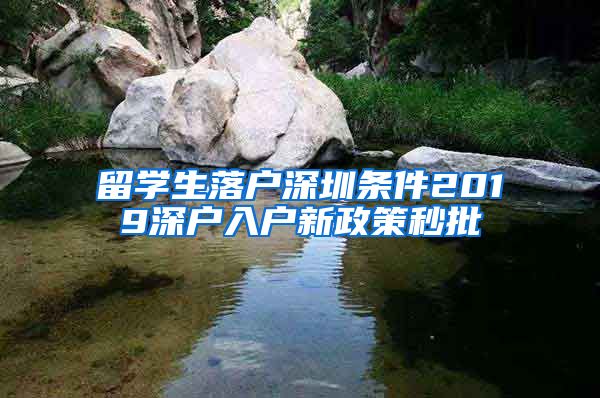 留学生落户深圳条件2019深户入户新政策秒批