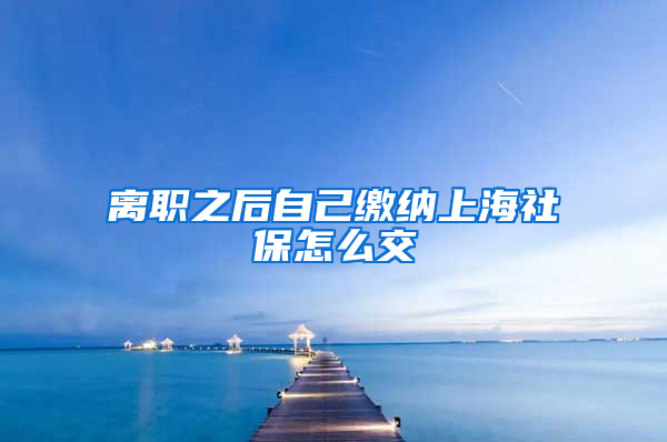 离职之后自己缴纳上海社保怎么交