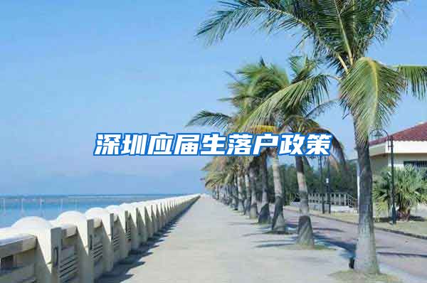 深圳应届生落户政策