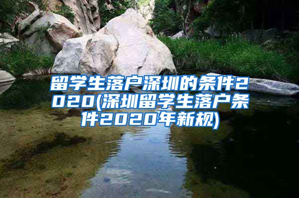 留学生落户深圳的条件2020(深圳留学生落户条件2020年新规)