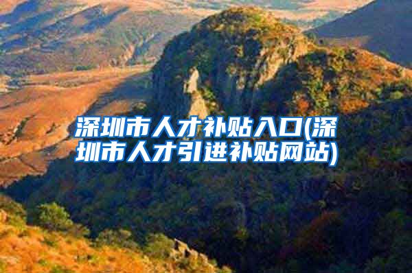 深圳市人才补贴入口(深圳市人才引进补贴网站)