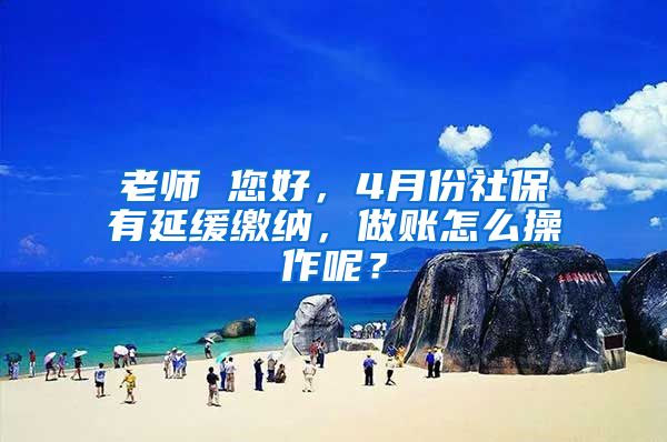 老师 您好，4月份社保有延缓缴纳，做账怎么操作呢？