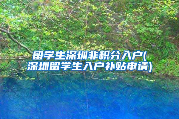 留学生深圳非积分入户(深圳留学生入户补贴申请)