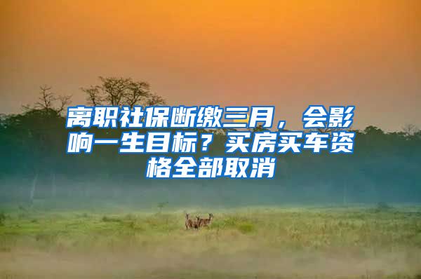 离职社保断缴三月，会影响一生目标？买房买车资格全部取消