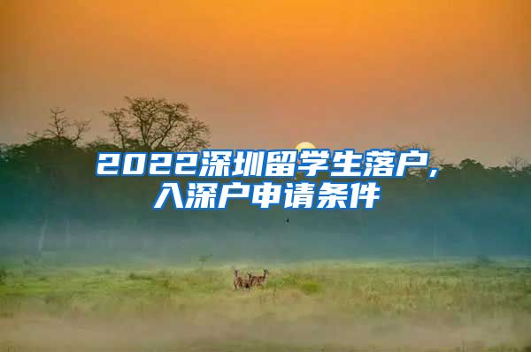 2022深圳留学生落户,入深户申请条件