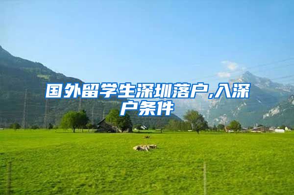 国外留学生深圳落户,入深户条件