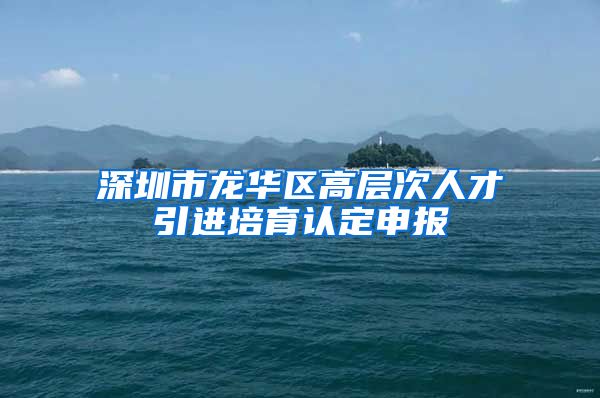 深圳市龙华区高层次人才引进培育认定申报