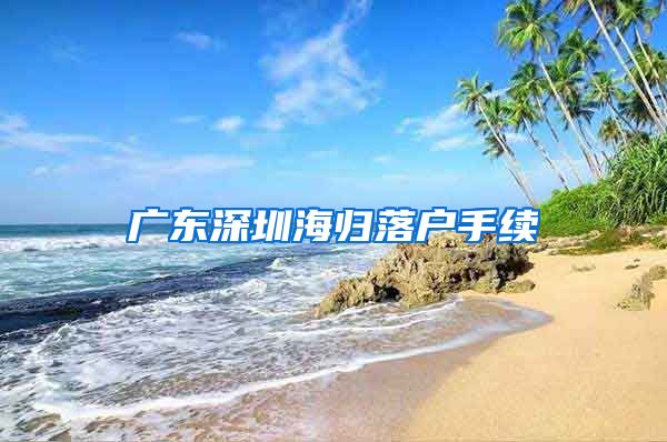 广东深圳海归落户手续