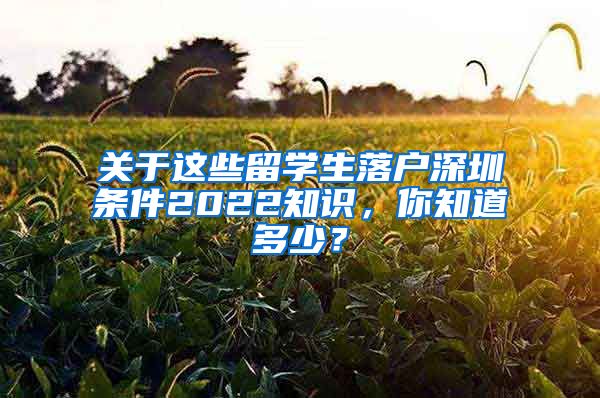 关于这些留学生落户深圳条件2022知识，你知道多少？