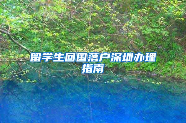 留学生回国落户深圳办理指南