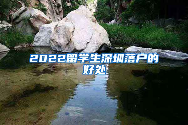 2022留学生深圳落户的好处