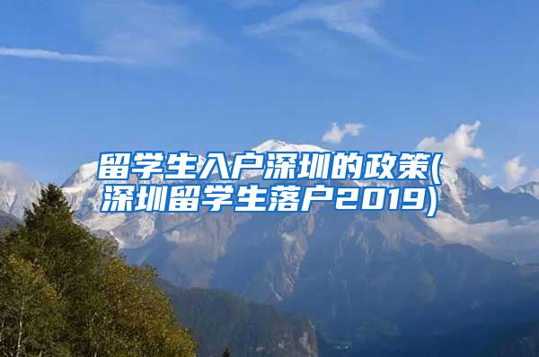 留学生入户深圳的政策(深圳留学生落户2019)