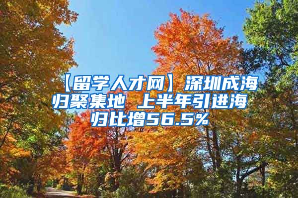 【留学人才网】深圳成海归聚集地 上半年引进海归比增56.5%