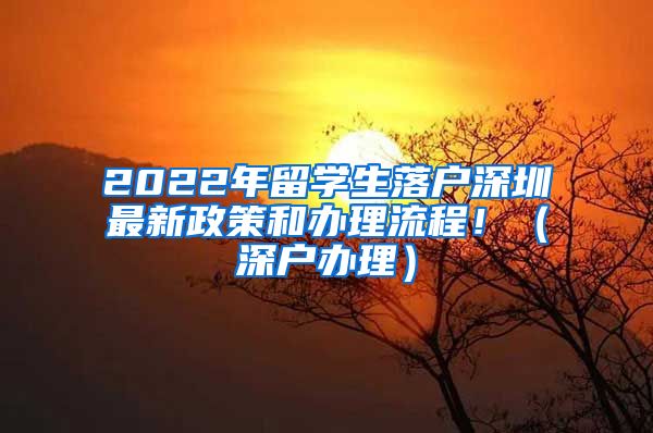 2022年留学生落户深圳最新政策和办理流程！（深户办理）