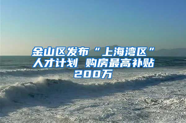 金山区发布“上海湾区”人才计划 购房最高补贴200万