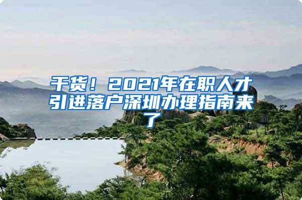 干货！2021年在职人才引进落户深圳办理指南来了