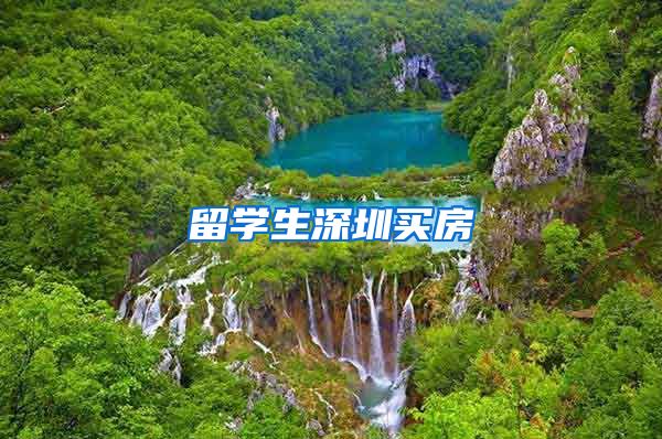 留学生深圳买房