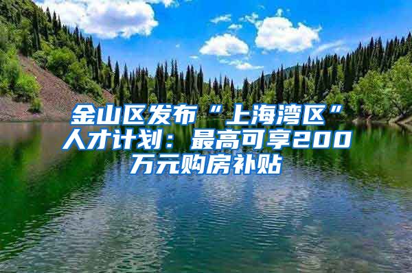 金山区发布“上海湾区”人才计划：最高可享200万元购房补贴